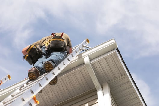 Mold Remediation Board-Up & Tarping Services