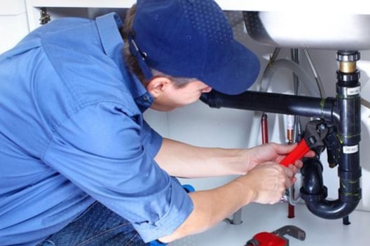 Mold Remediation Emergency Plumbing Repair